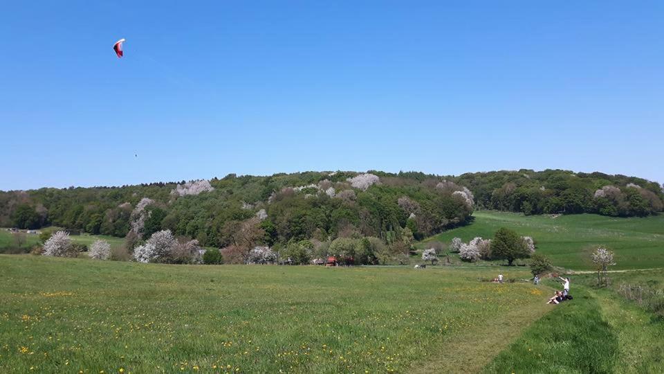 Fleurie De Montagne Malines